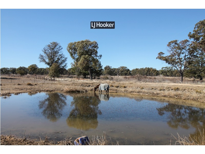 1178 Moredun Dams Road, Inverell NSW 2360