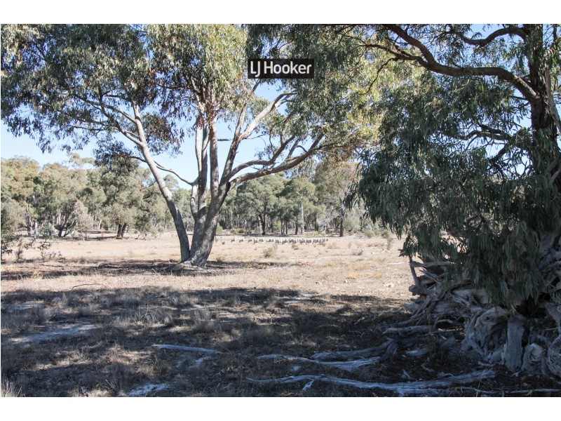 1178 Moredun Dams Road, Inverell NSW 2360