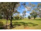 805 Mount Russell Road, Inverell NSW 2360