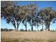 Lots 20-36 Windoona Estate Fernhill Road, Inverell NSW 2360