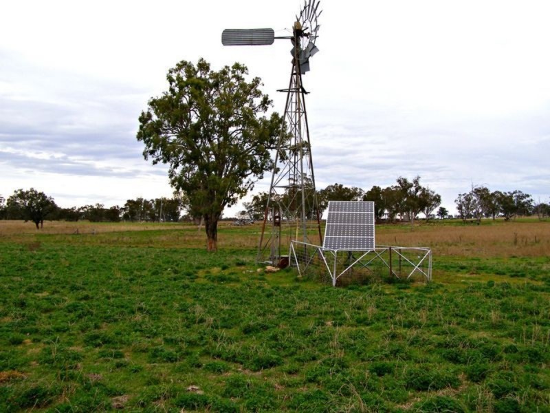 1049 Reserve Creek Road, Delungra NSW 2403