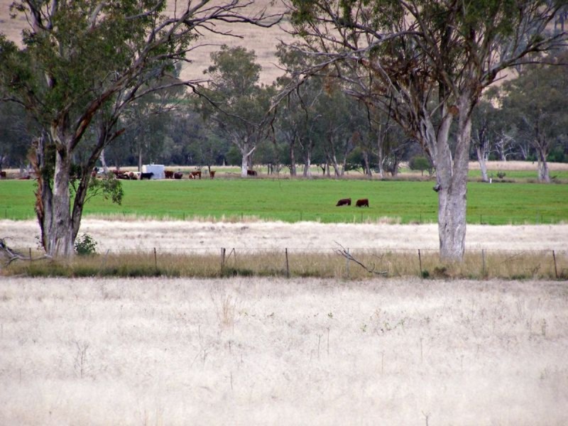 1049 Reserve Creek Road, Delungra NSW 2403