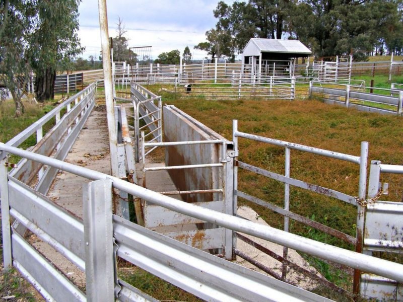 1049 Reserve Creek Road, Delungra NSW 2403