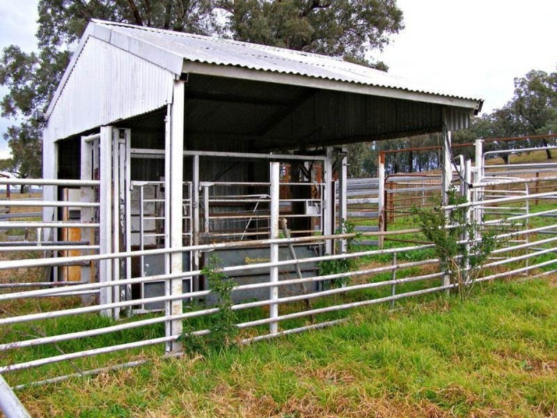 1049 Reserve Creek Road, Delungra NSW 2403