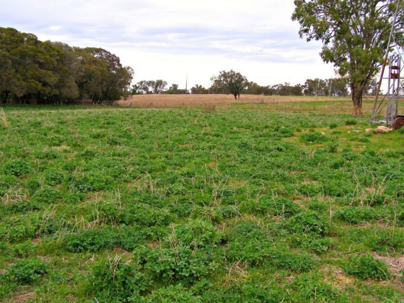 1049 Reserve Creek Road, Delungra NSW 2403