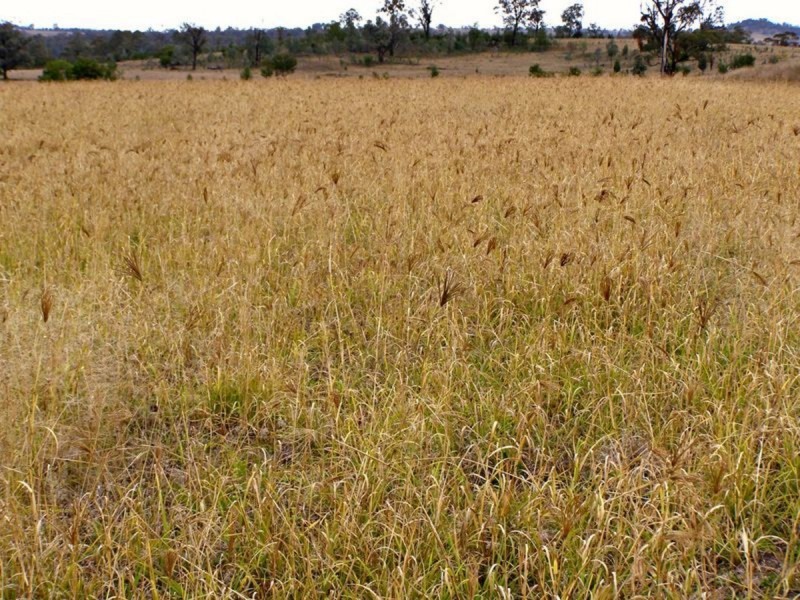 1049 Reserve Creek Road, Delungra NSW 2403