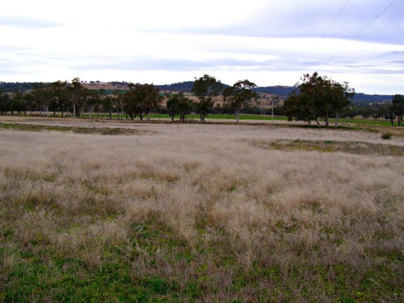 1049 Reserve Creek Road, Delungra NSW 2403