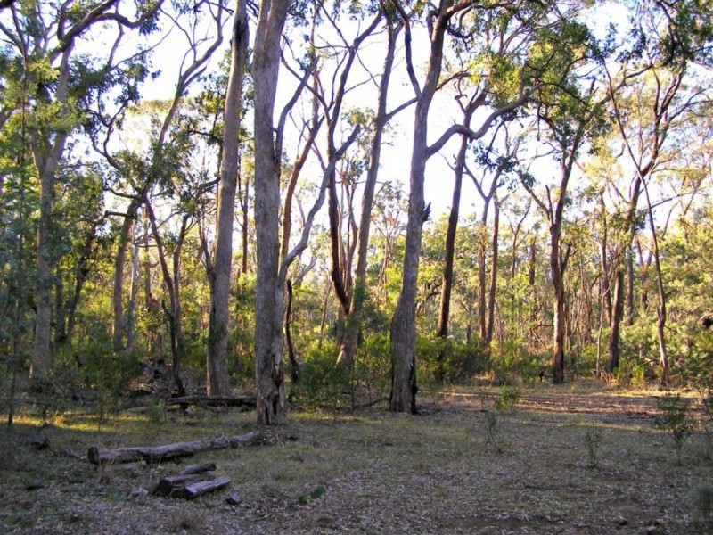 Lot 11 & Lot 12 Ponds Road, Gilgai NSW 2360