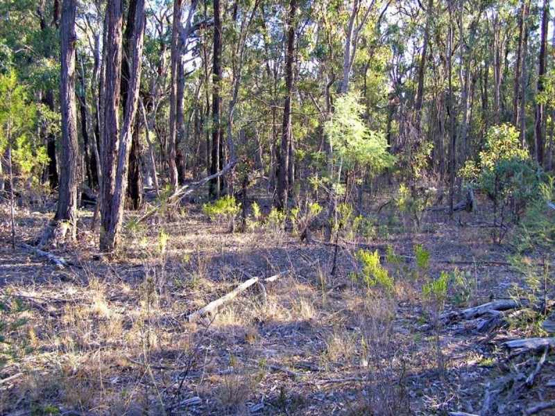 Lot 11 & Lot 12 Ponds Road, Gilgai NSW 2360