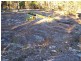 Lot 11 & Lot 12 Ponds Road, Gilgai NSW 2360