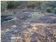 Lot 11 & Lot 12 Ponds Road, Gilgai NSW 2360