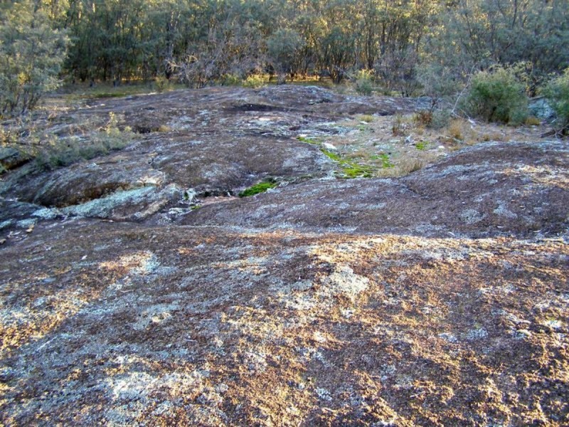 Lot 11 & Lot 12 Ponds Road, Gilgai NSW 2360
