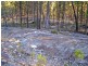 Lot 11 & Lot 12 Ponds Road, Gilgai NSW 2360