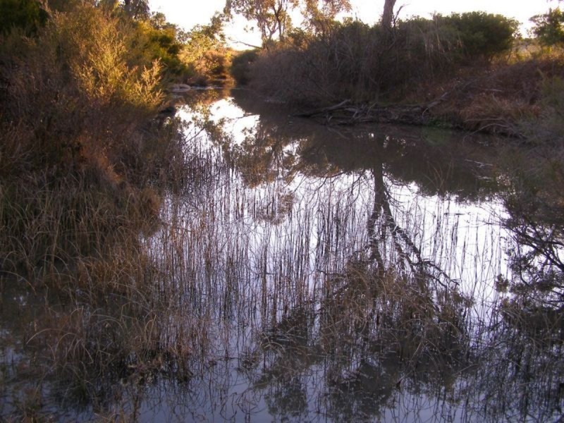 688 New Valley Road, Inverell NSW 2360