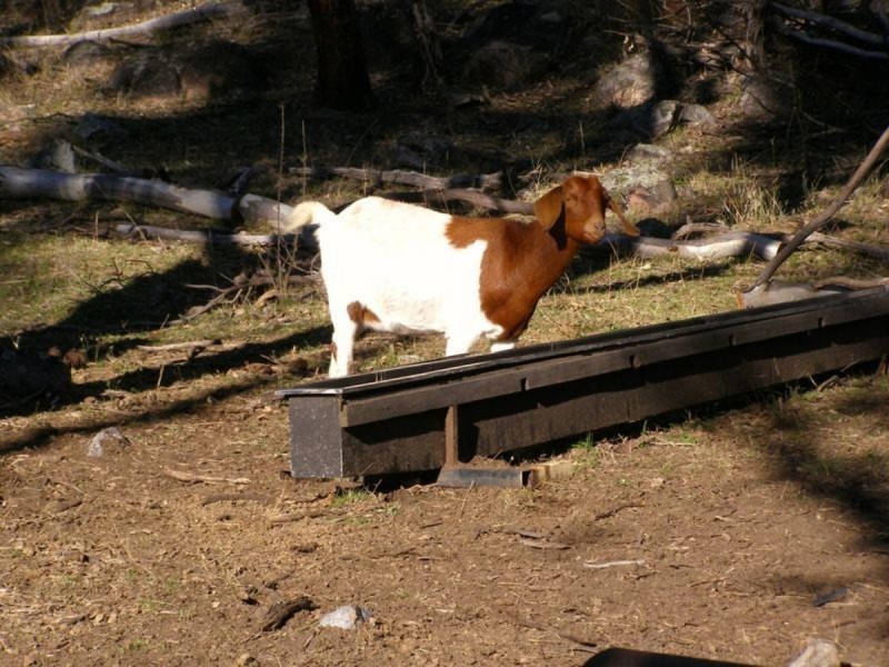 688 New Valley Road, Inverell NSW 2360