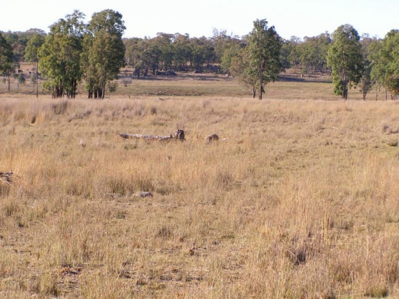 688 New Valley Road, Inverell NSW 2360