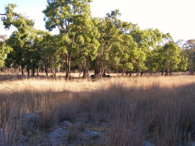 688 New Valley Road, Inverell NSW 2360