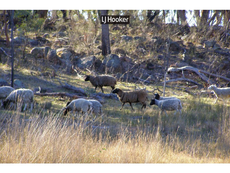738 New Valley Road, Inverell NSW 2360