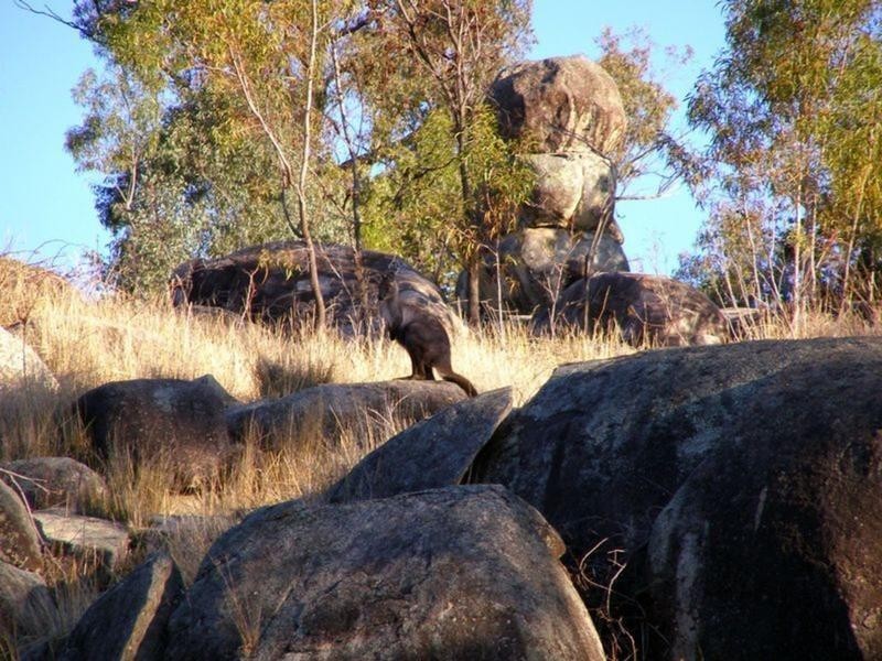 738 New Valley Road, Inverell NSW 2360