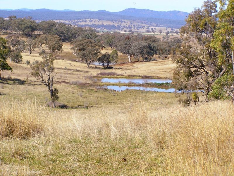665 Copeton Dam Road, Inverell NSW 2360