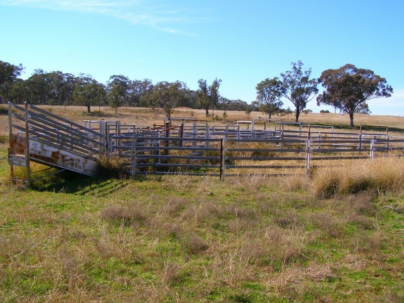 665 Copeton Dam Road, Inverell NSW 2360