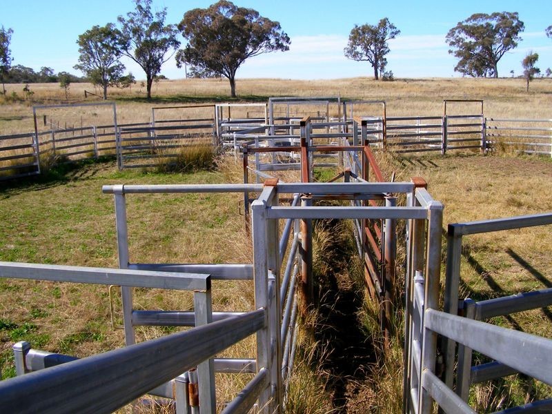 665 Copeton Dam Road, Inverell NSW 2360