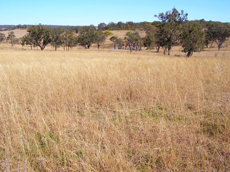 665 Copeton Dam Road, Inverell NSW 2360