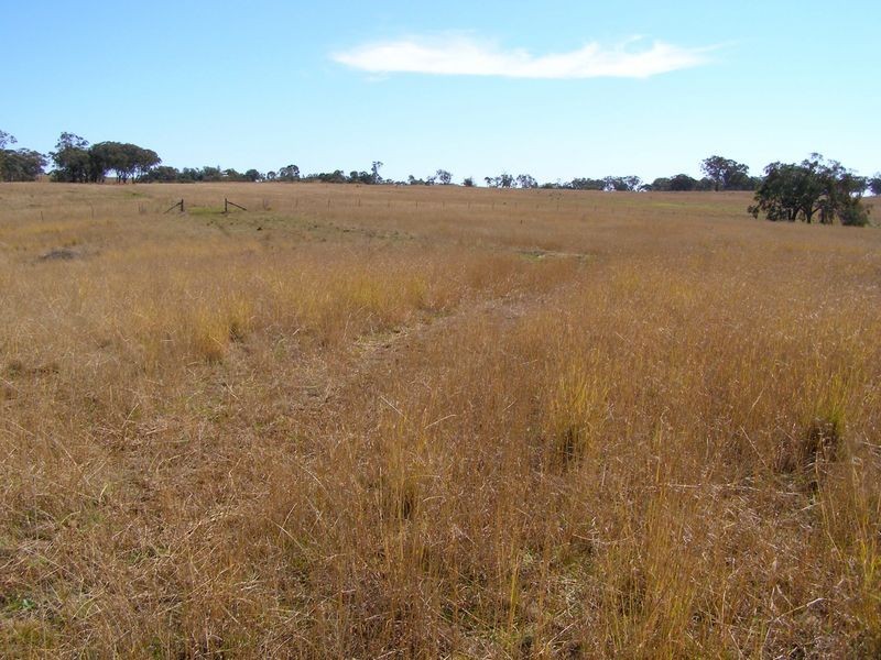 665 Copeton Dam Road, Inverell NSW 2360