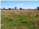 665 Copeton Dam Road, Inverell NSW 2360