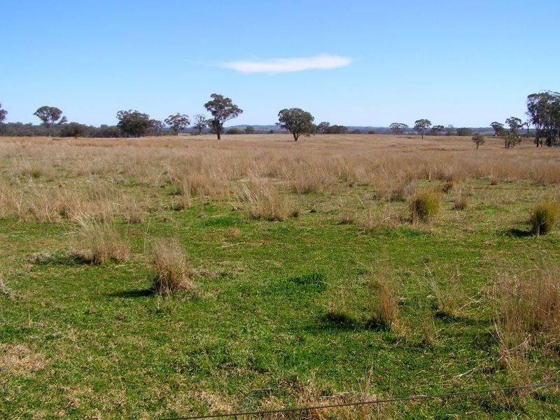 665 Copeton Dam Road, Inverell NSW 2360