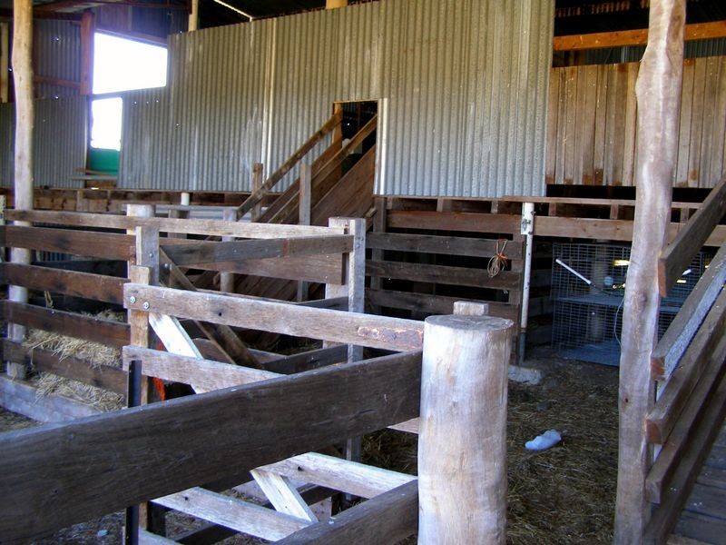 665 Copeton Dam Road, Inverell NSW 2360