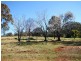 150 Roscrae Lane, Inverell NSW 2360