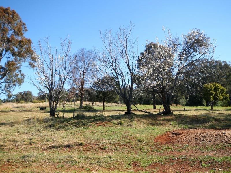 150 Roscrae Lane, Inverell NSW 2360