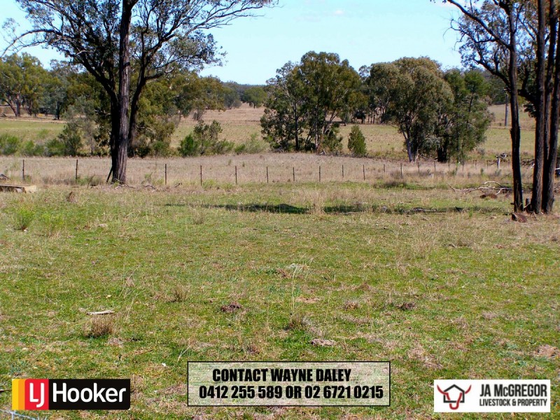 1590 Oregan Road, Warialda NSW 2402