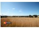 Old Bundarra Road, Inverell NSW 2360