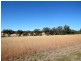 Old Bundarra Road, Inverell NSW 2360