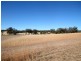 Old Bundarra Road, Inverell NSW 2360