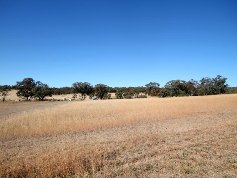 Old Bundarra Road, Inverell NSW 2360