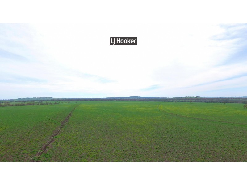 874 Gournama Road, Warialda NSW 2402