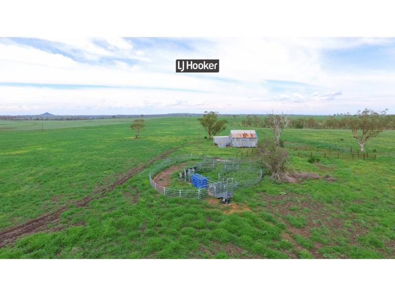 874 Gournama Road, Warialda NSW 2402
