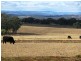 Inverell NSW 2360