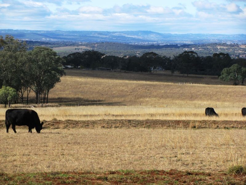 Inverell NSW 2360