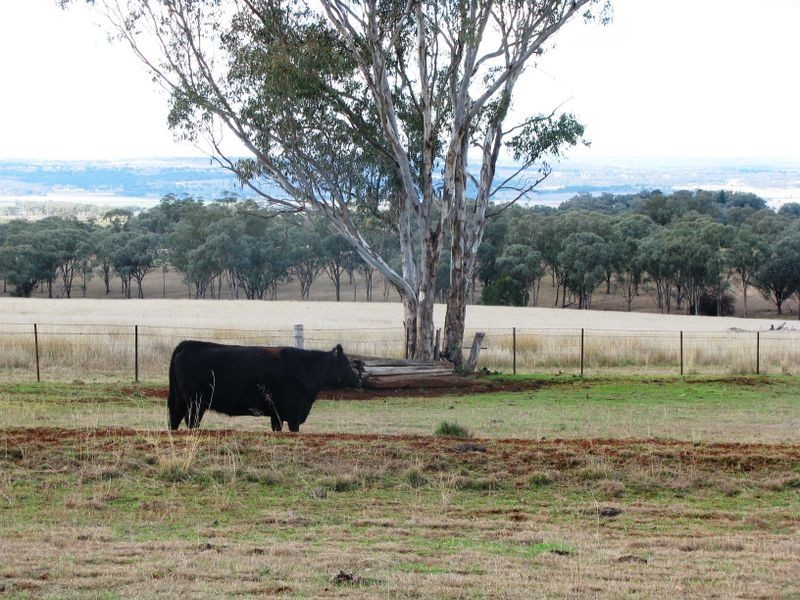 Inverell NSW 2360