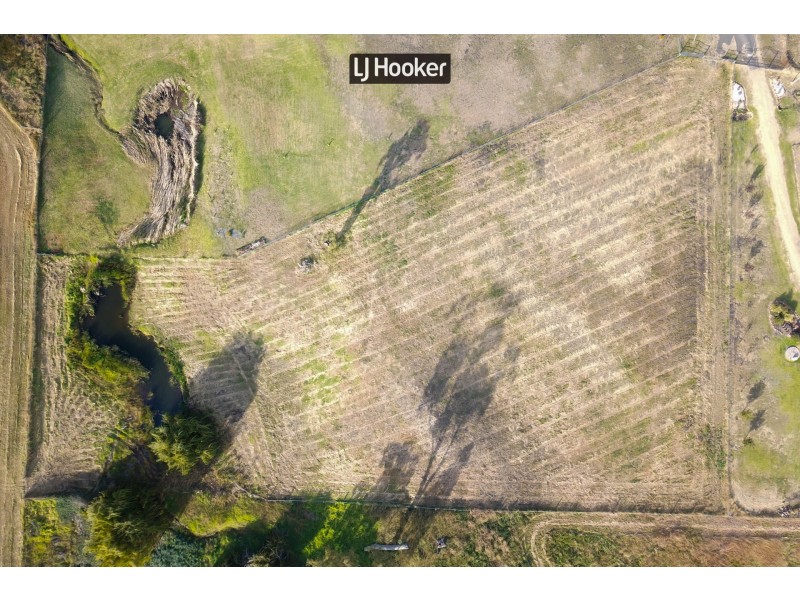 Lot 1/12 Dog Trap Lane, Inverell NSW 2360