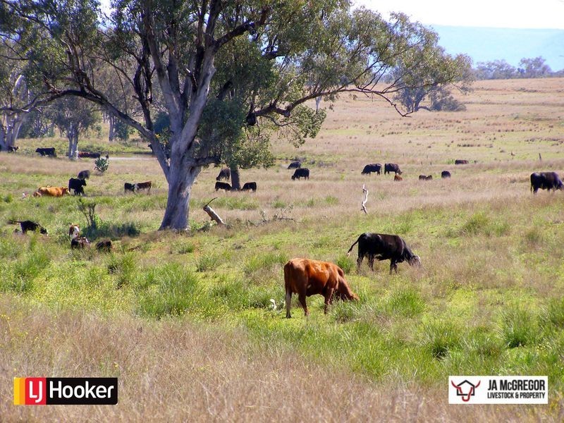 176 Mount Rodd Road, Bingara NSW 2404