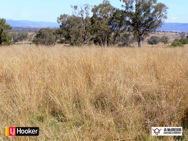 176 Mount Rodd Road, Bingara NSW 2404