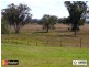 176 Mount Rodd Road, Bingara NSW 2404