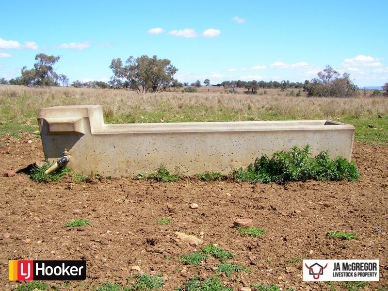 176 Mount Rodd Road, Bingara NSW 2404