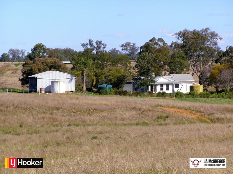 176 Mount Rodd Road, Bingara NSW 2404
