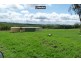 491 Goomerah Lane, Inverell NSW 2360